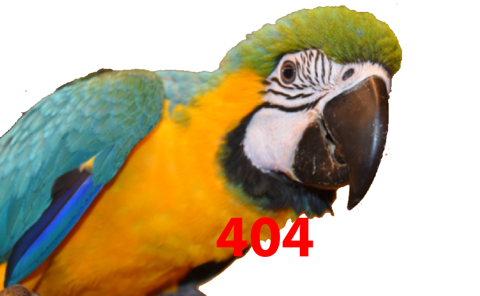 image pour erreur 404